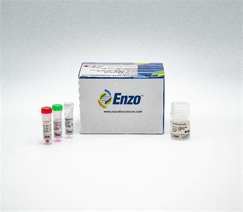 ApoStrand™ ELISA Apoptosis Detection Kit, Enzo Life Sciences